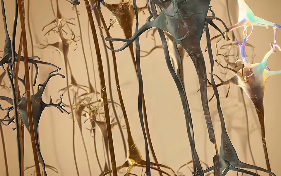 说话啰嗦可能是老年痴呆症的先兆